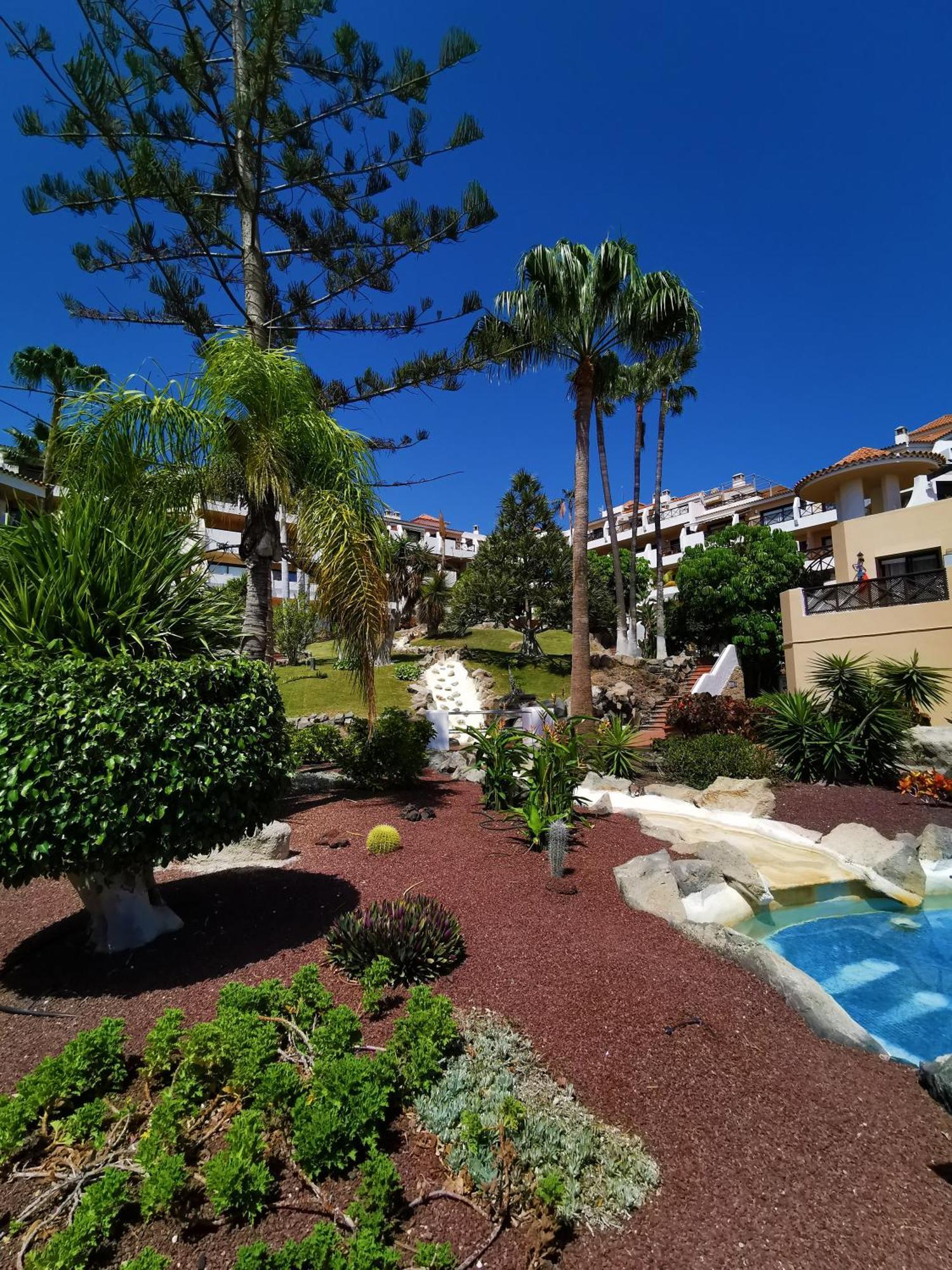 Strelitzia Apartment - Ocean View & Heated Pool San Miguel de Abona Dış mekan fotoğraf